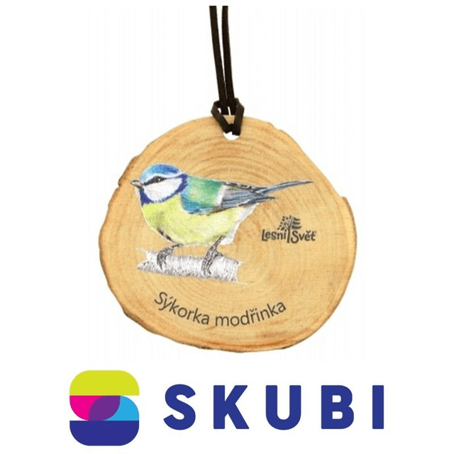 Přívěsek dřevěný - na krk - Sýkorka modřinka